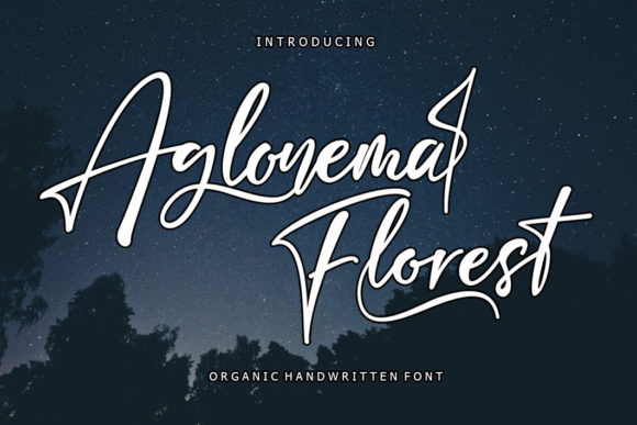 Aglonema Florest: A Handwritten Font for Creative and Professional Use